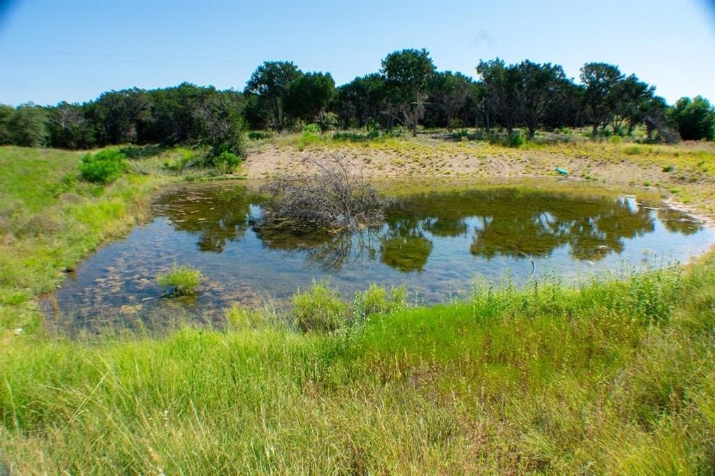 156 acres in Taylor County - photo 13