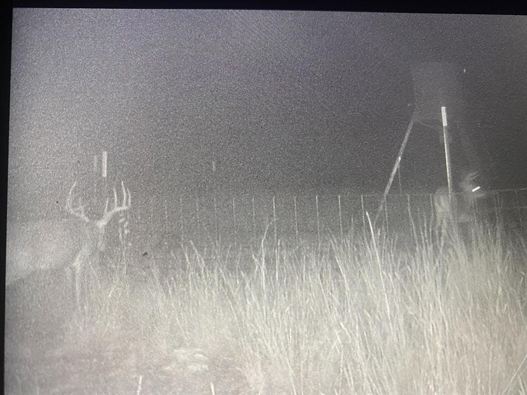 156 acres in Taylor County - photo 23