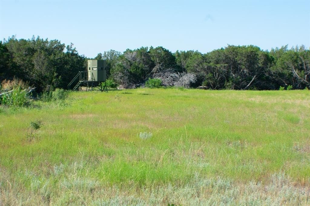 156 acres in Taylor County - photo 16