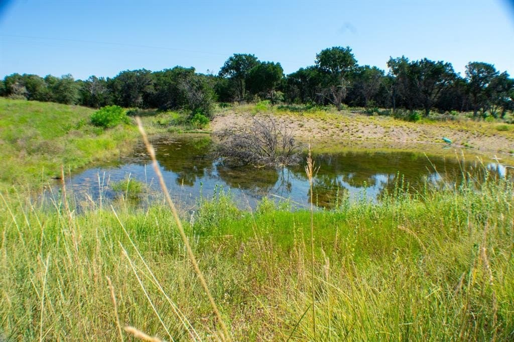 156 acres in Taylor County - photo 17