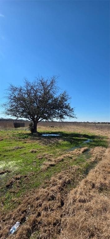 5.2 acres in Navarro County - photo 9