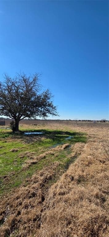 5.2 acres in Navarro County - photo 8