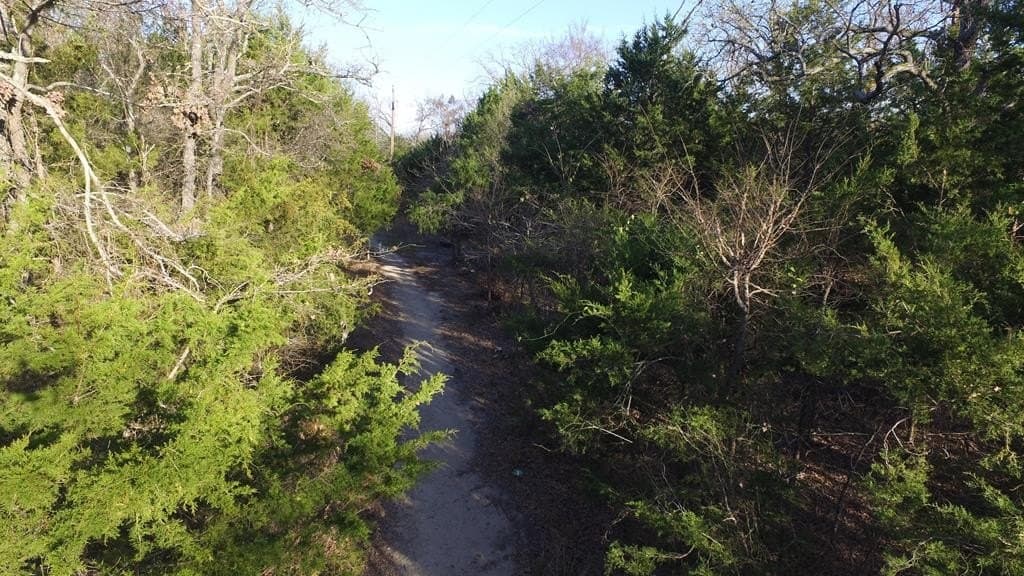 0 acres in Henderson County - photo 8