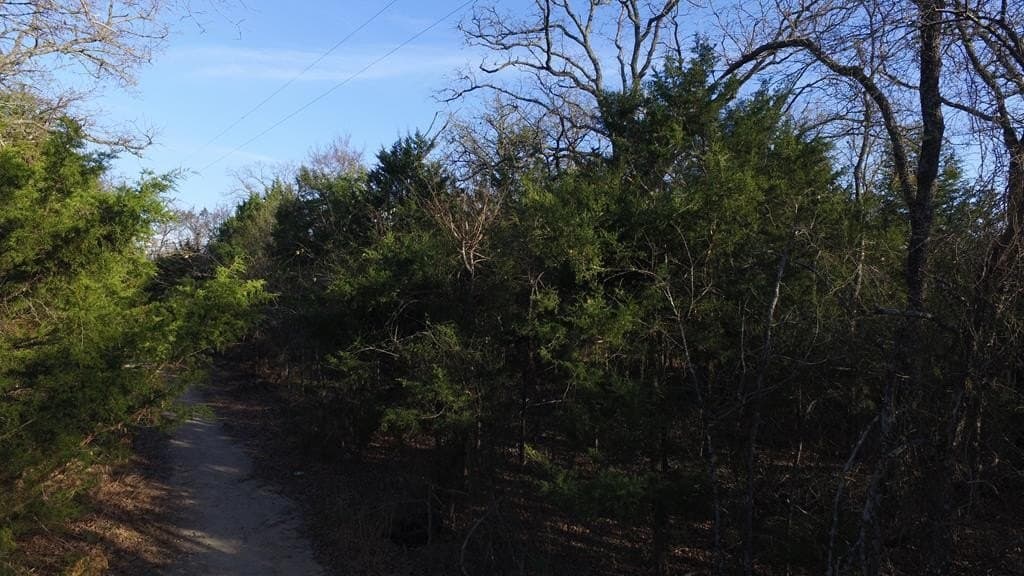 0 acres in Henderson County - photo 7