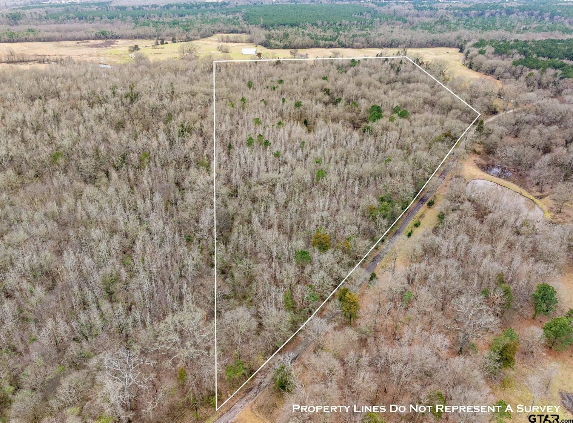 24.13 acres in Camp County - photo 2