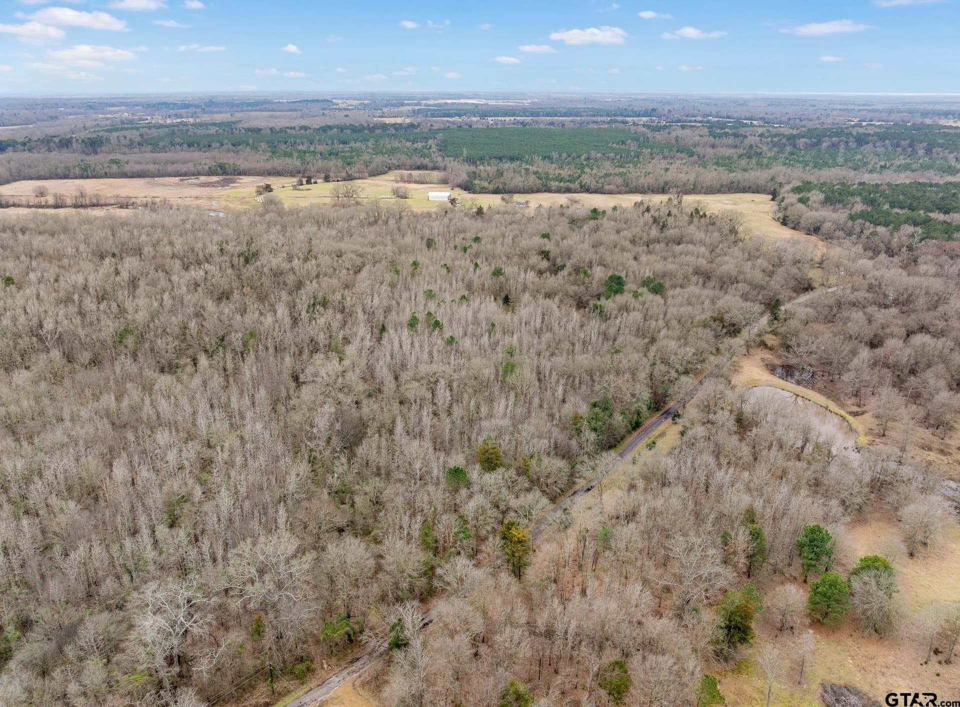 24.13 acres in Camp County - photo 4