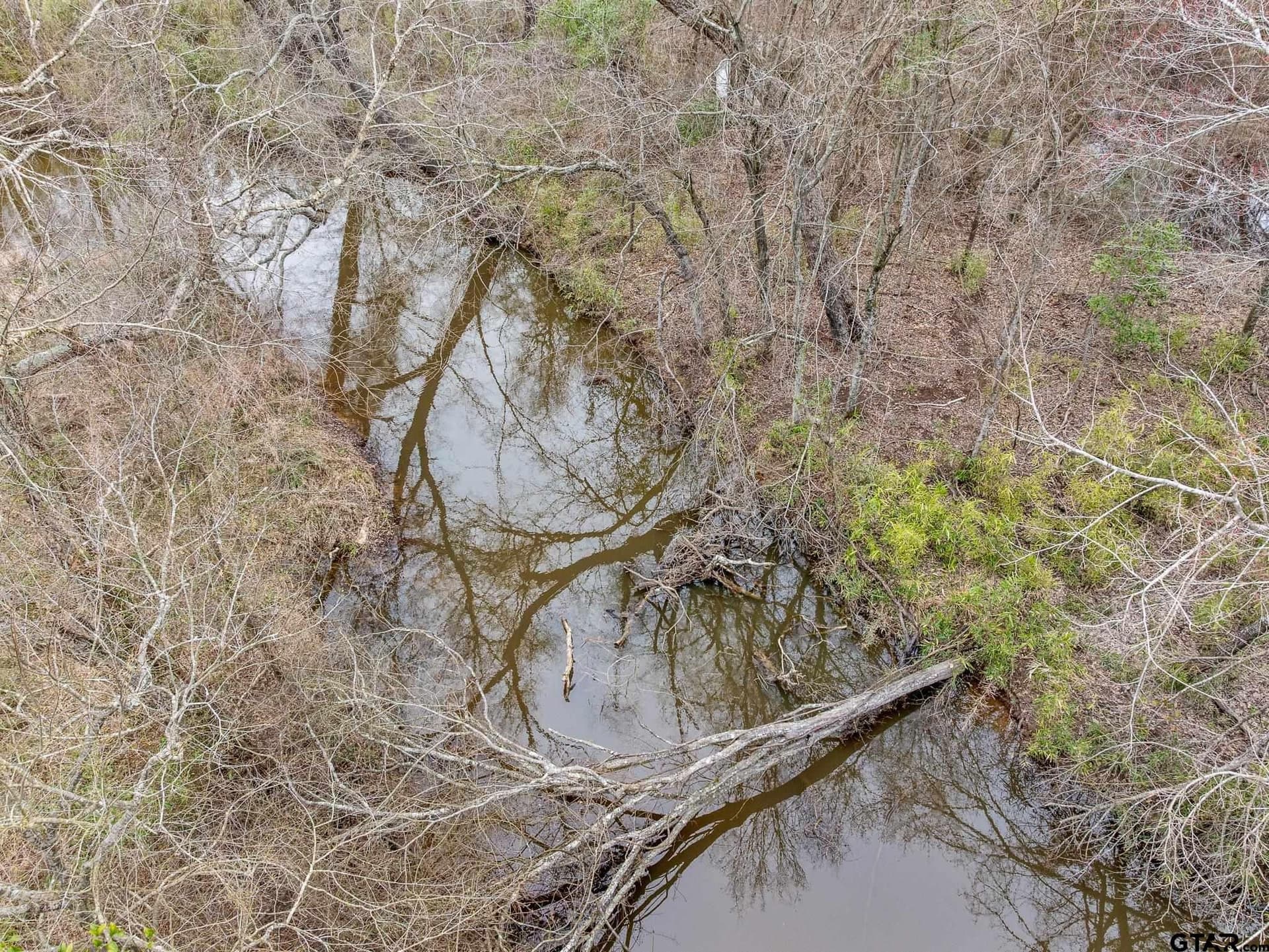 24.13 acres in Camp County - photo 11
