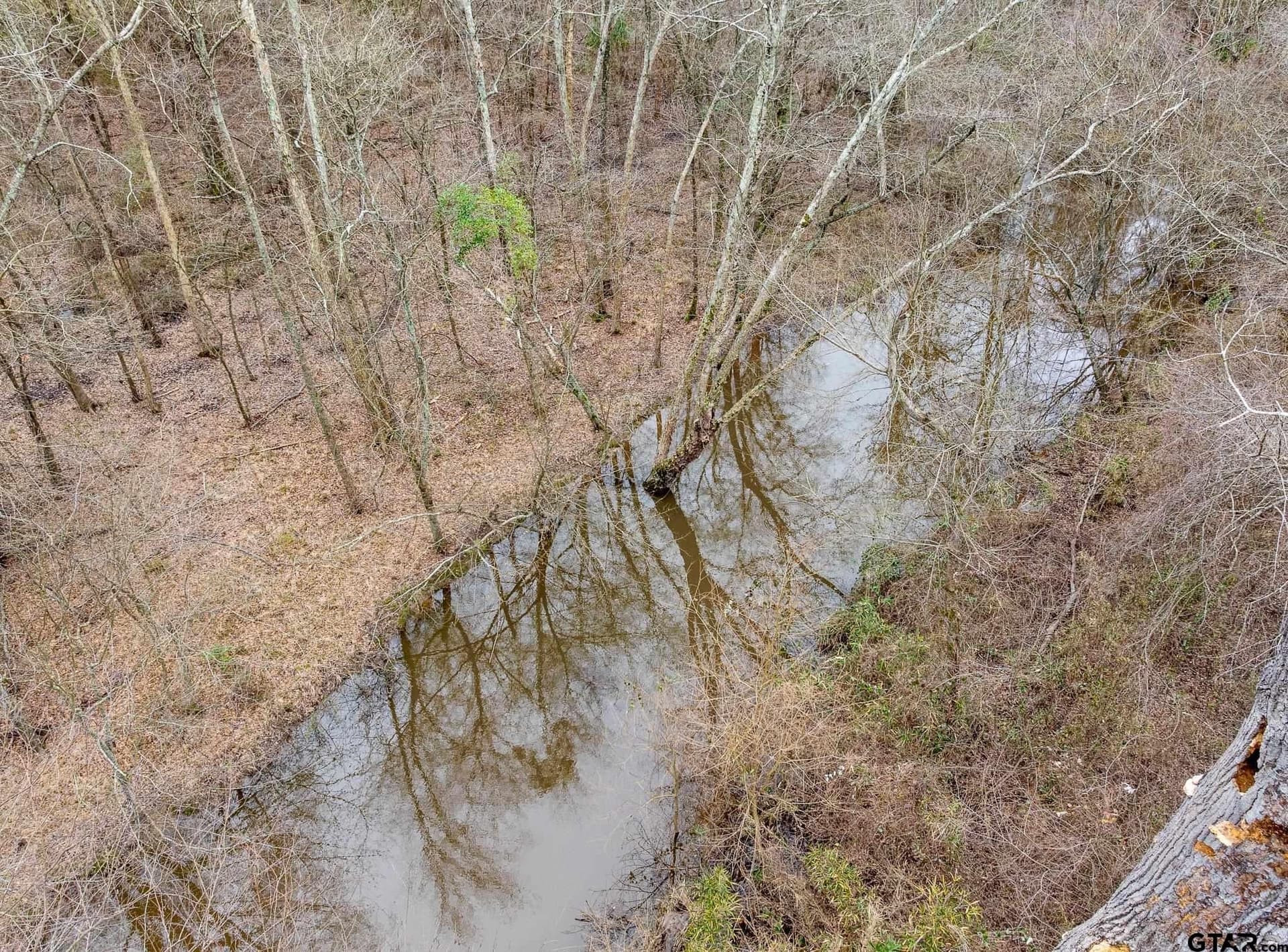24.13 acres in Camp County - photo 10