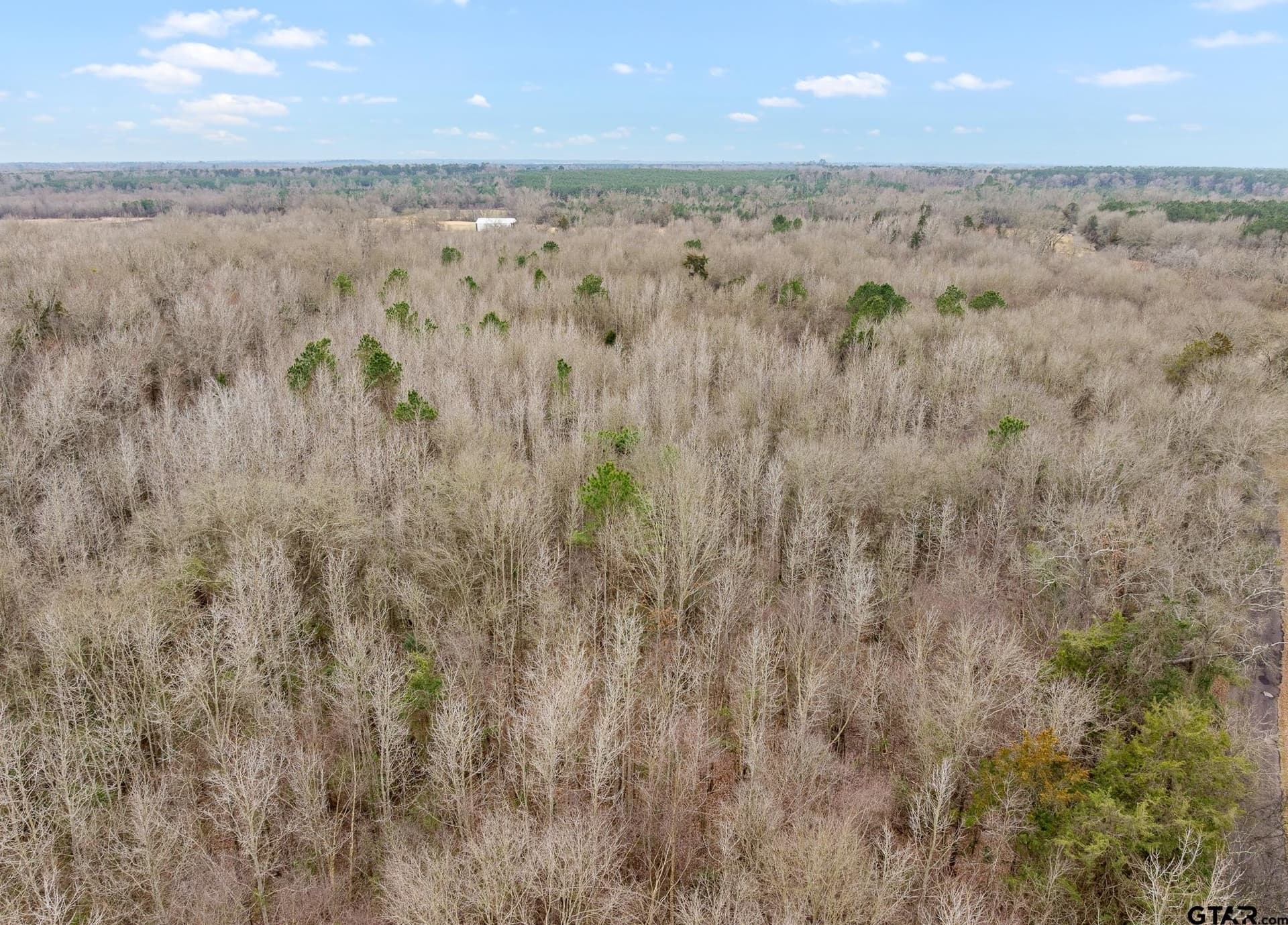 24.13 acres in Camp County - photo 7
