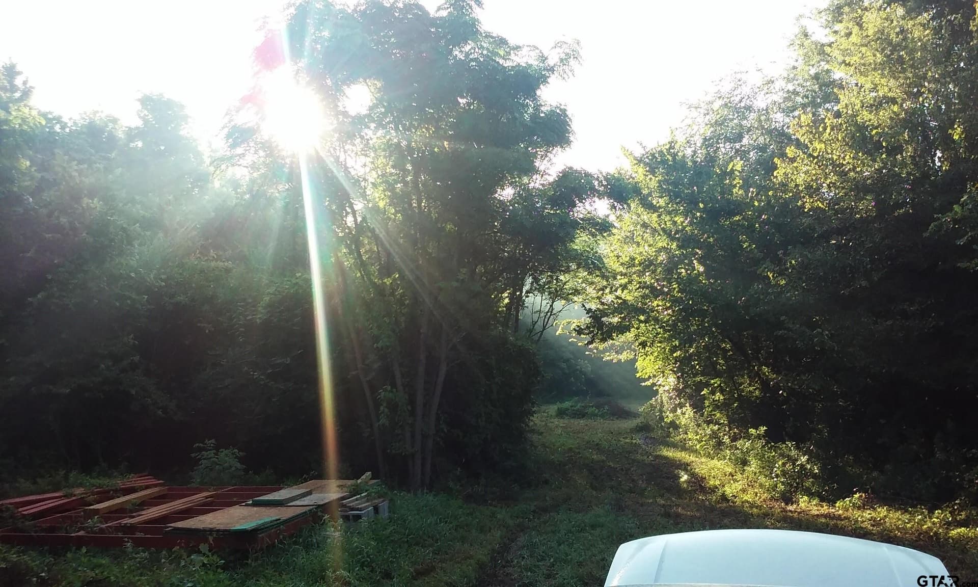 24.13 acres in Camp County - photo 5