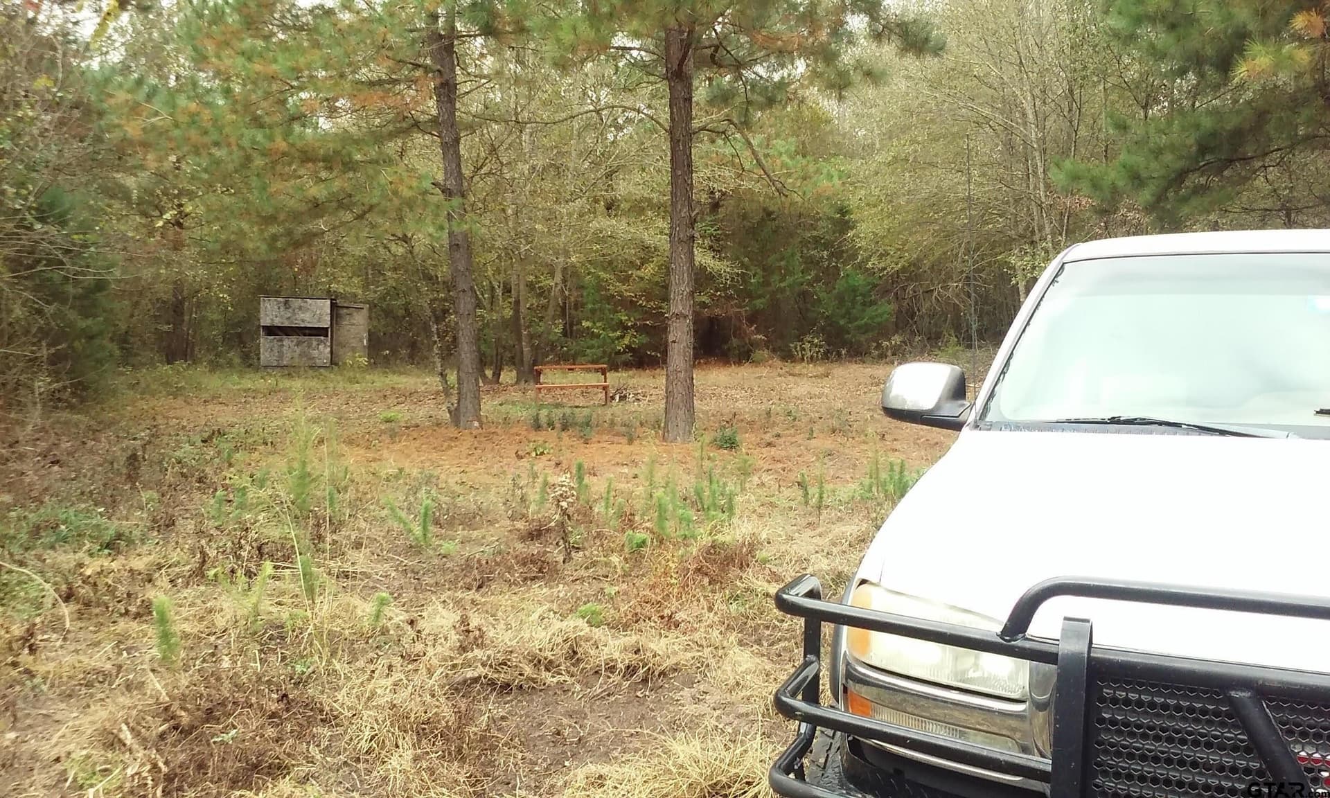 24.13 acres in Camp County - photo 3