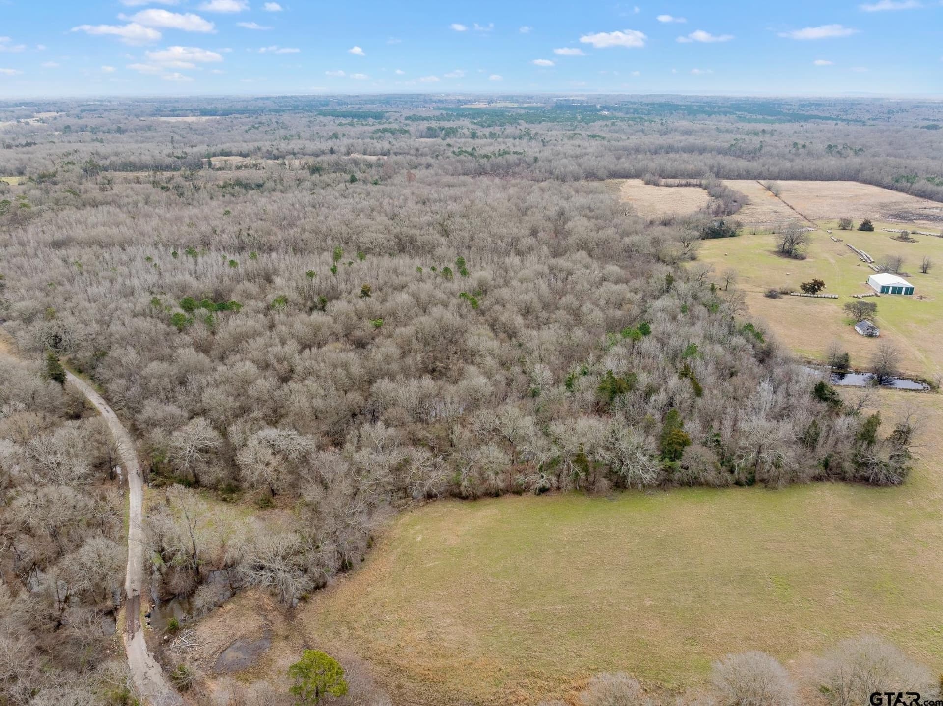 24.13 acres in Camp County - photo 6