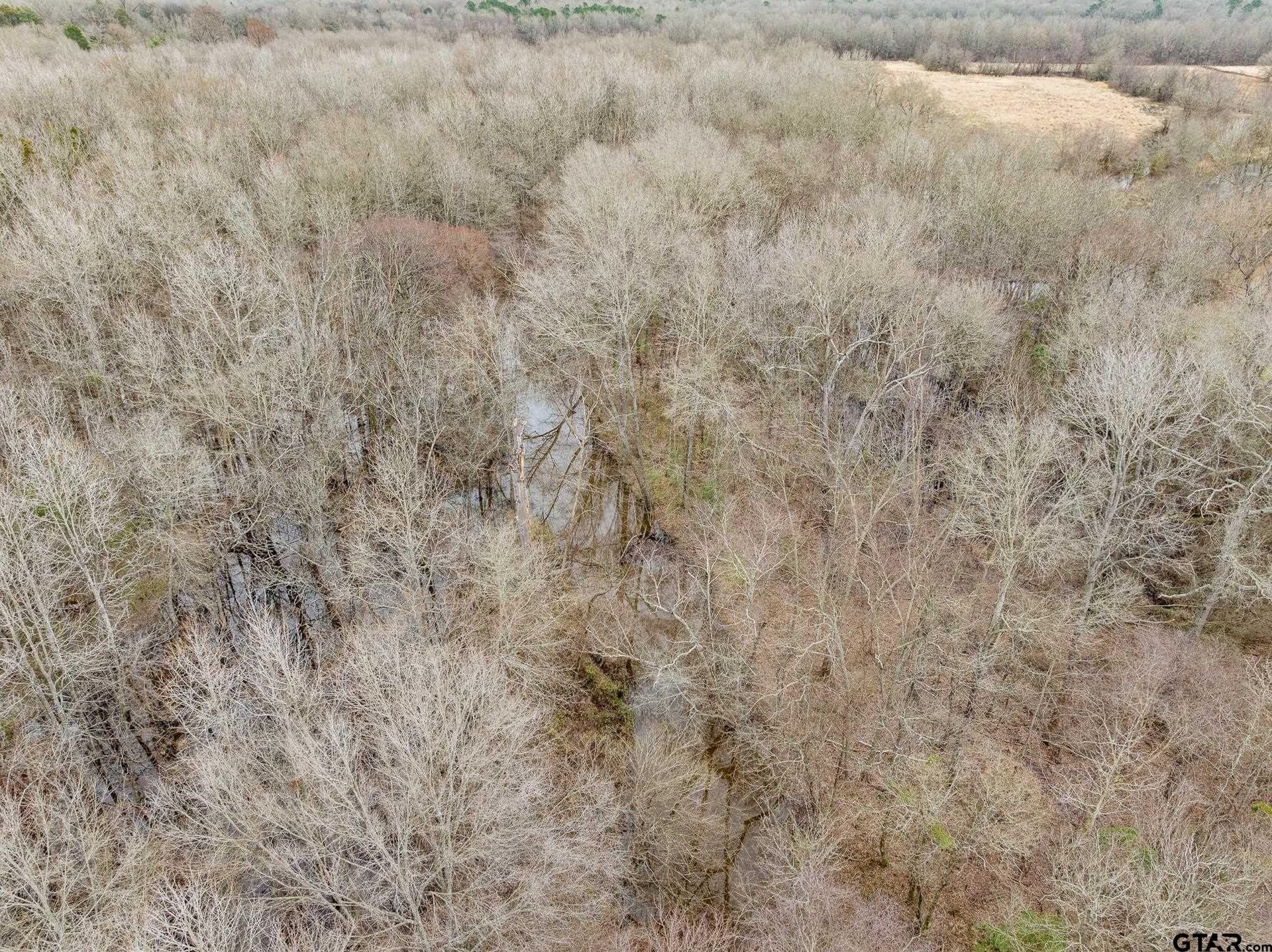24.13 acres in Camp County - photo 9