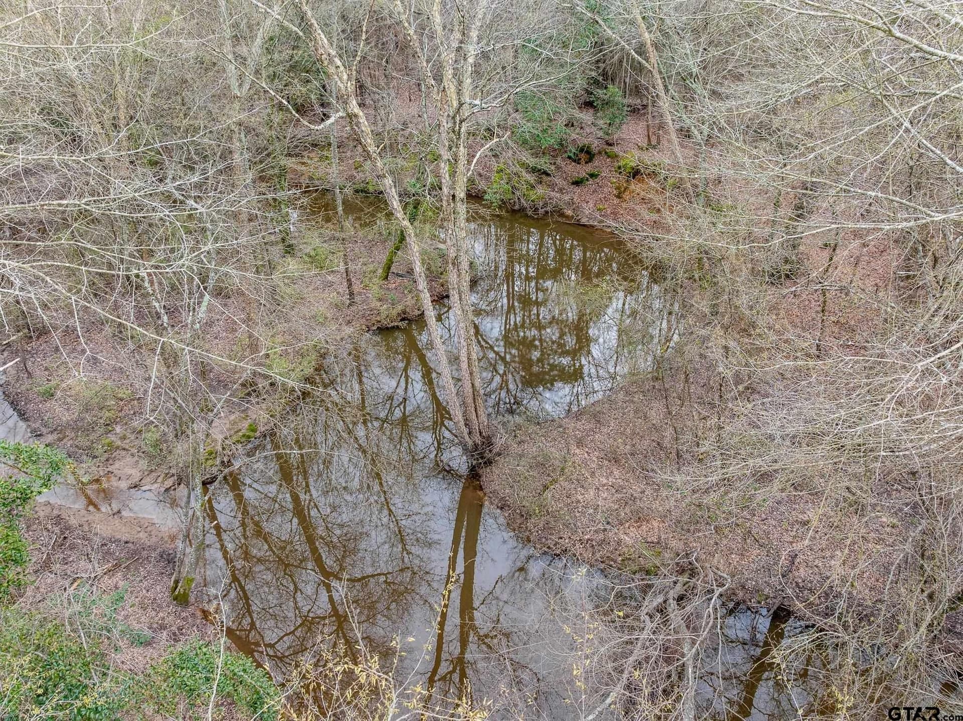 24.13 acres in Camp County - photo 12