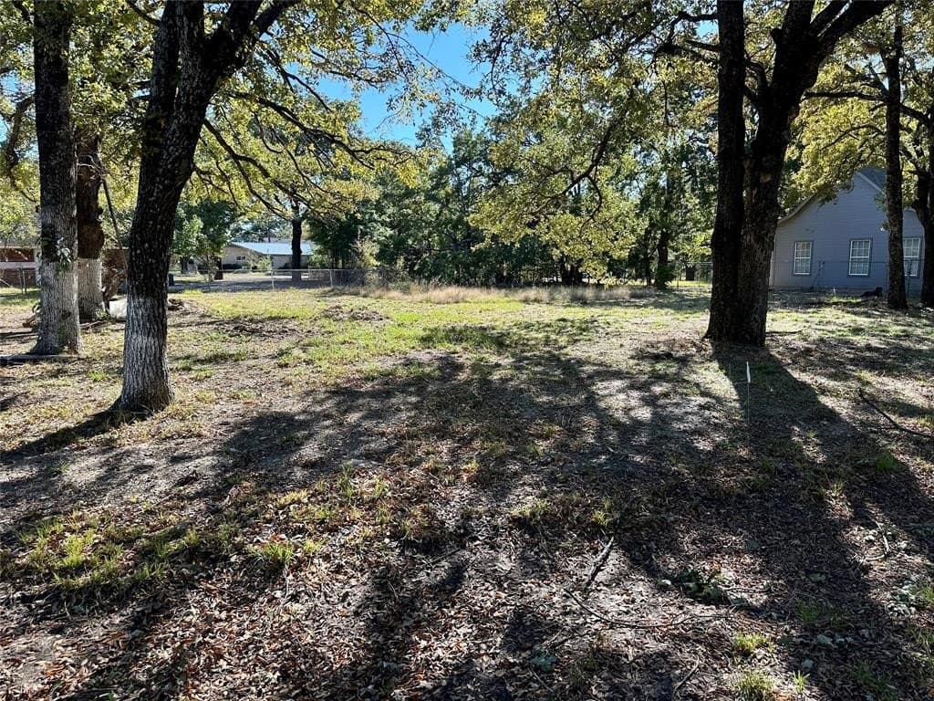 0.22 acres in Henderson County - photo 5