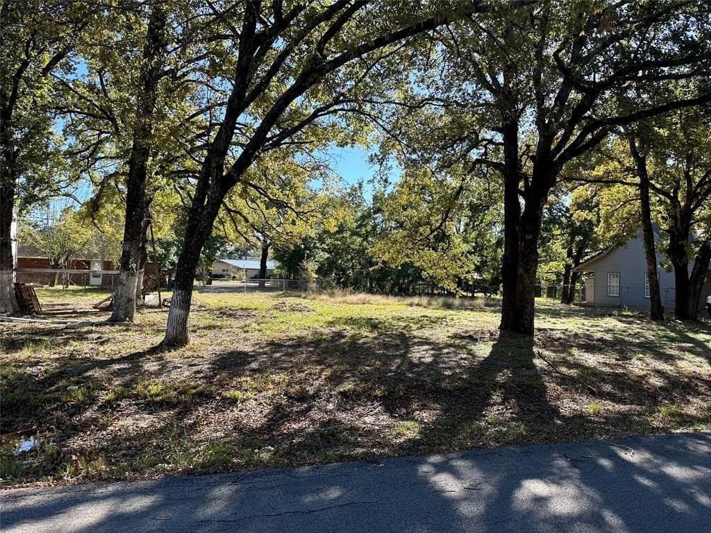 0.22 acres in Henderson County - photo 4