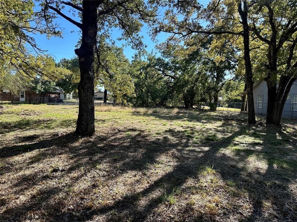 0.22 acres in Henderson County - photo 3