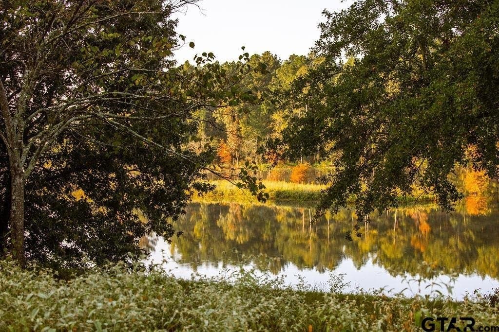 0.52 acres in Smith County - photo 2