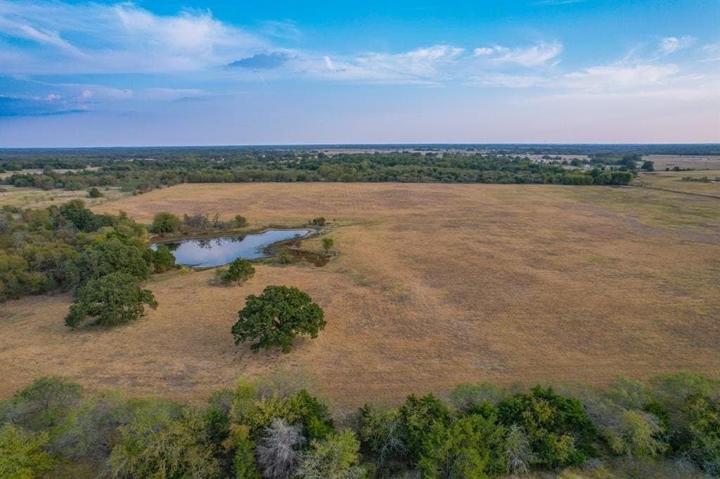 130 acres in Navarro County - photo 13