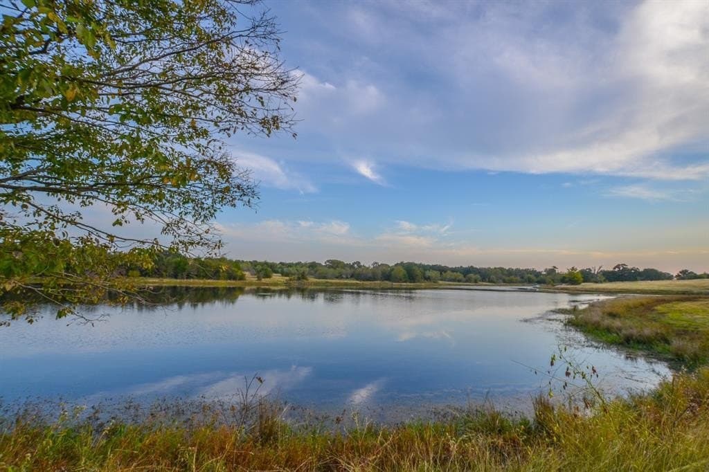 130 acres in Navarro County - photo 19