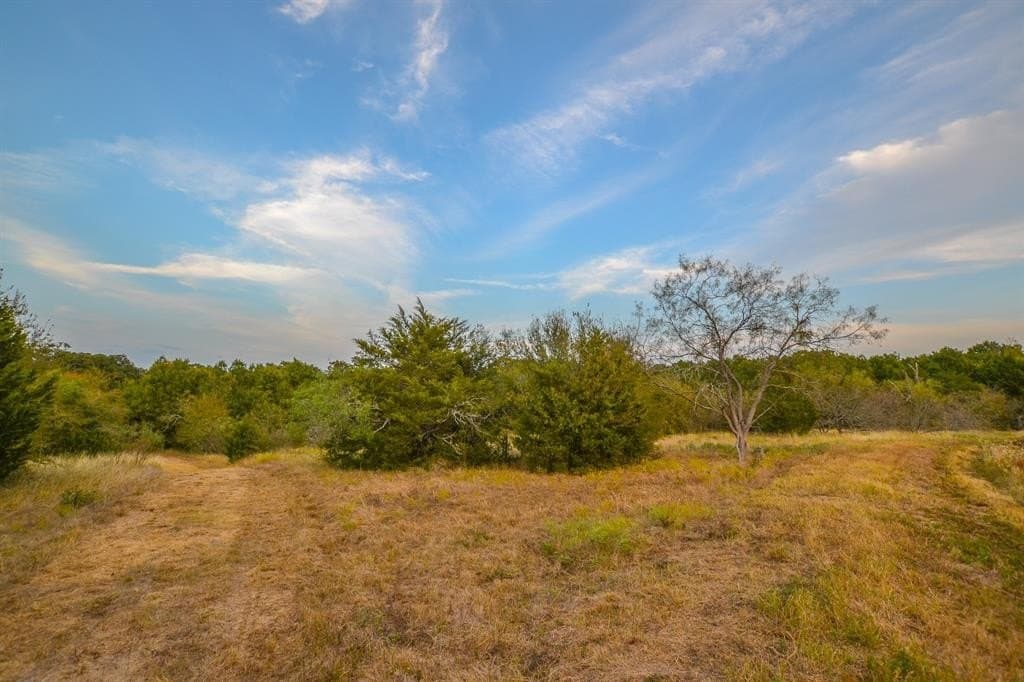 130 acres in Navarro County - photo 26