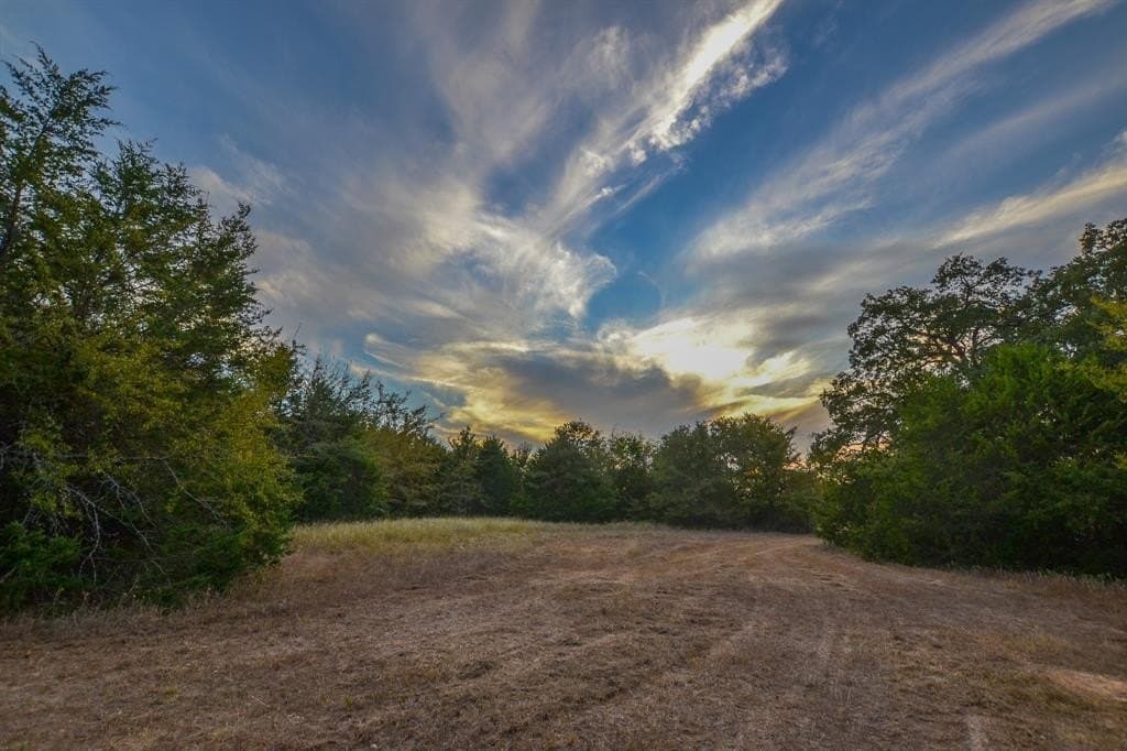 130 acres in Navarro County - photo 23