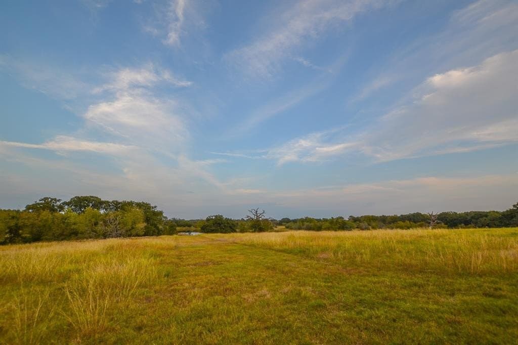130 acres in Navarro County - photo 27