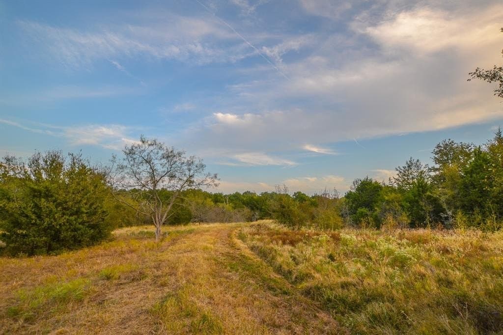 130 acres in Navarro County - photo 25