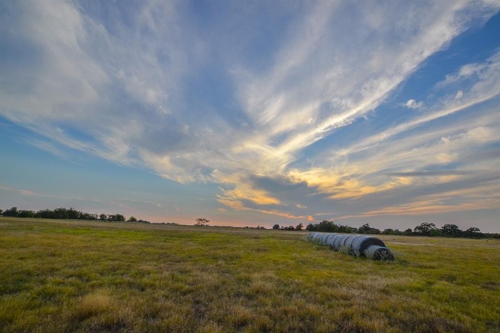 130 acres in Navarro County - photo 3