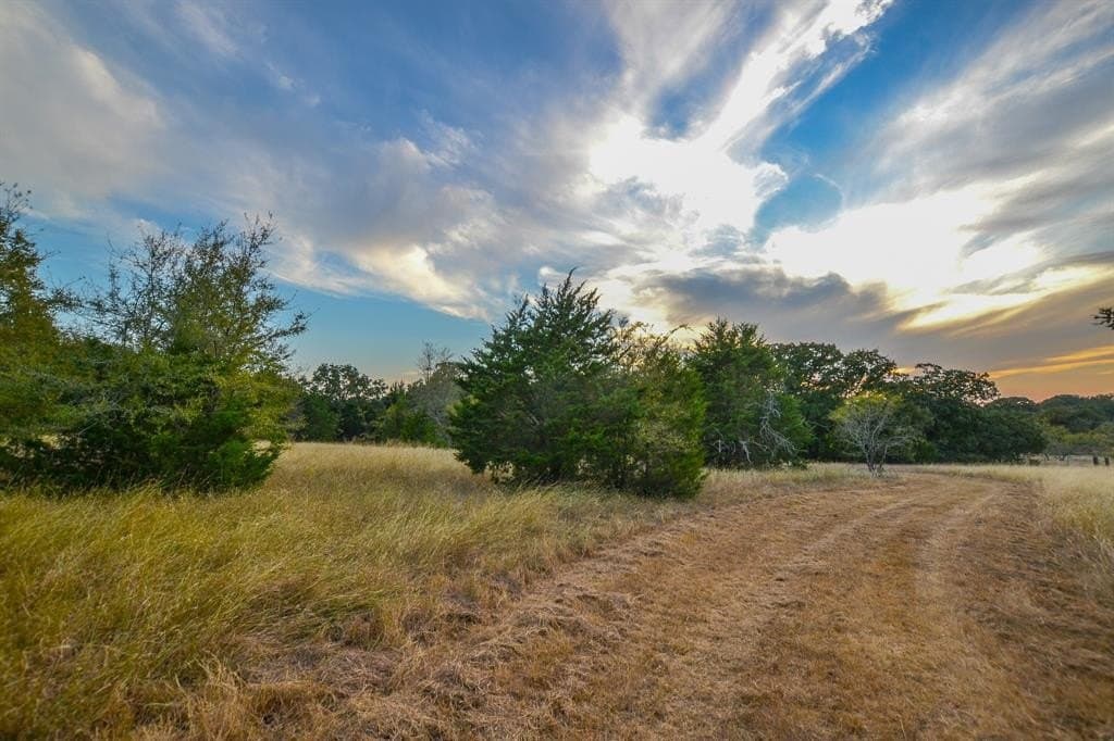 130 acres in Navarro County - photo 22