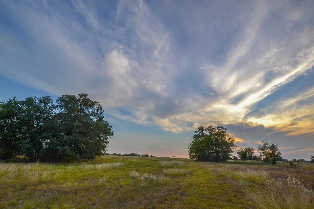 130 acres in Navarro County - photo 4
