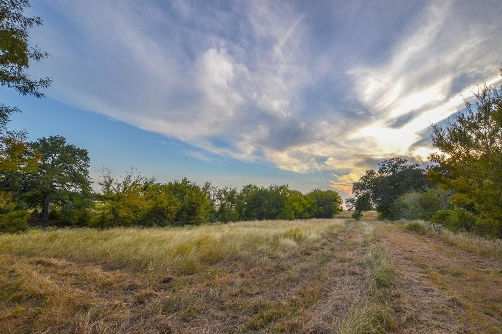 130 acres in Navarro County - photo 20
