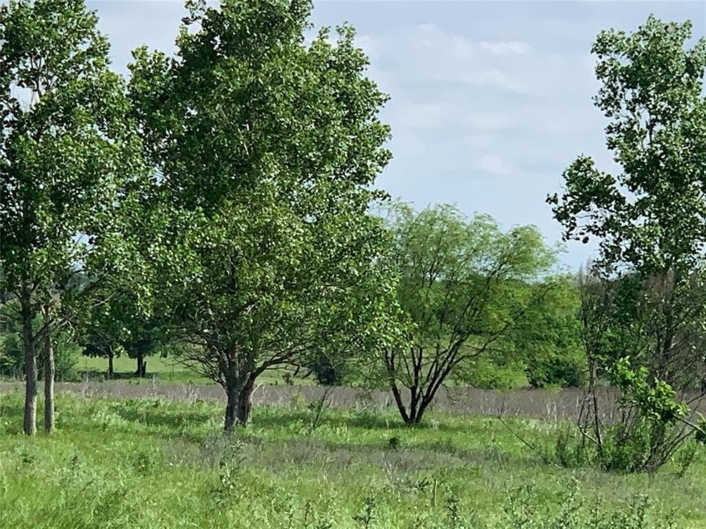 116.87 acres in Johnson County - photo 9