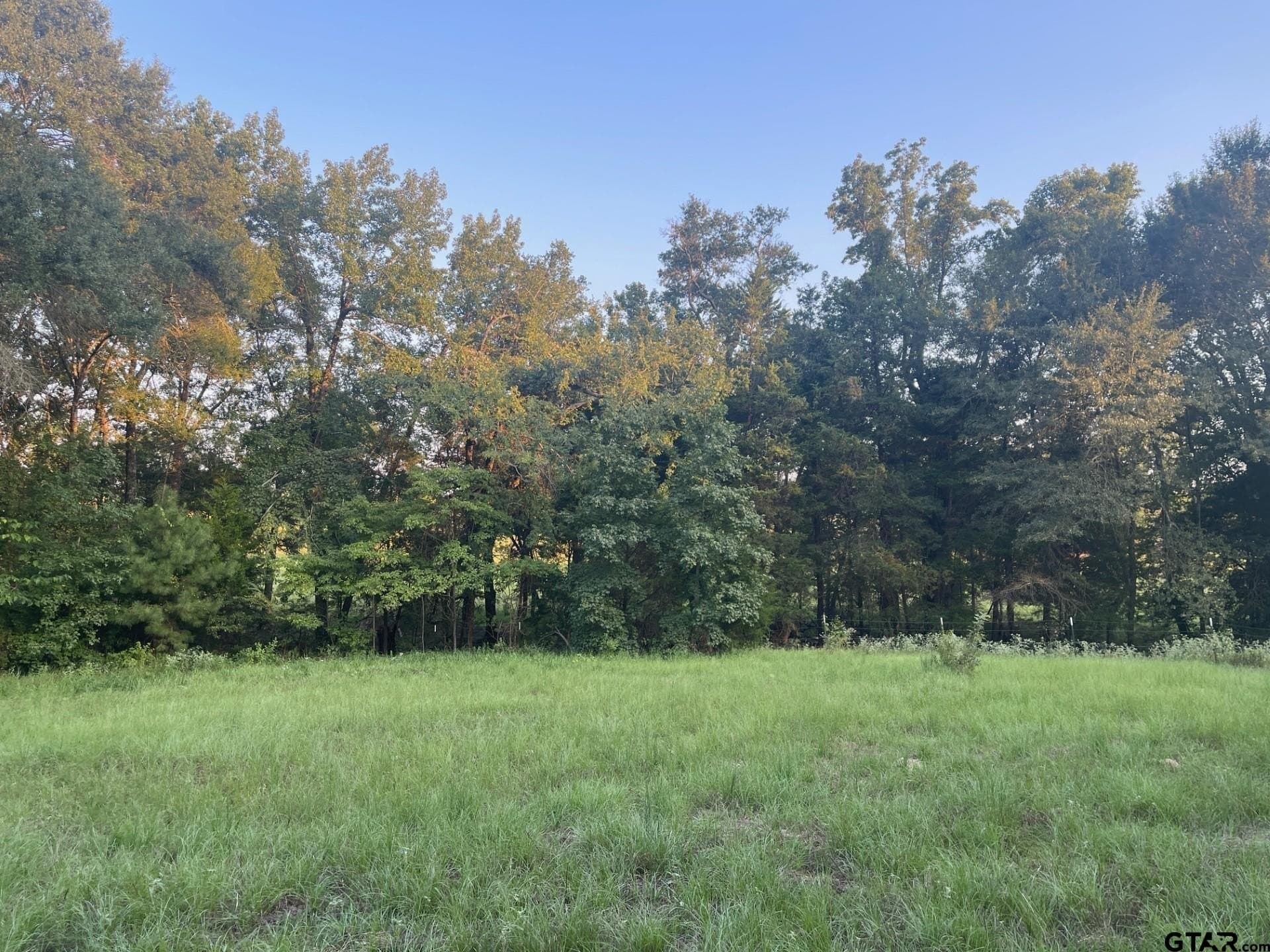 3.13 acres in Van Zandt County - photo 4