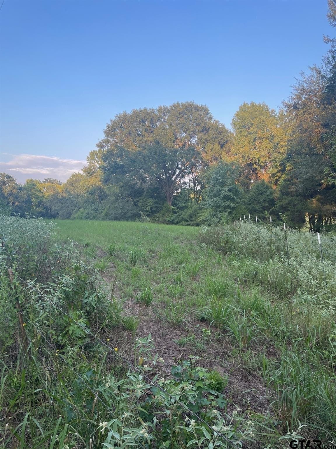3.13 acres in Van Zandt County - photo 5