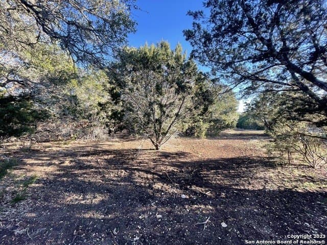 17.12 acres in Comal County - photo 36