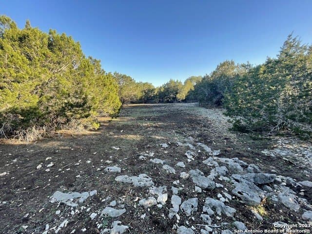 17.12 acres in Comal County - photo 33