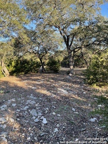 17.12 acres in Comal County - photo 34