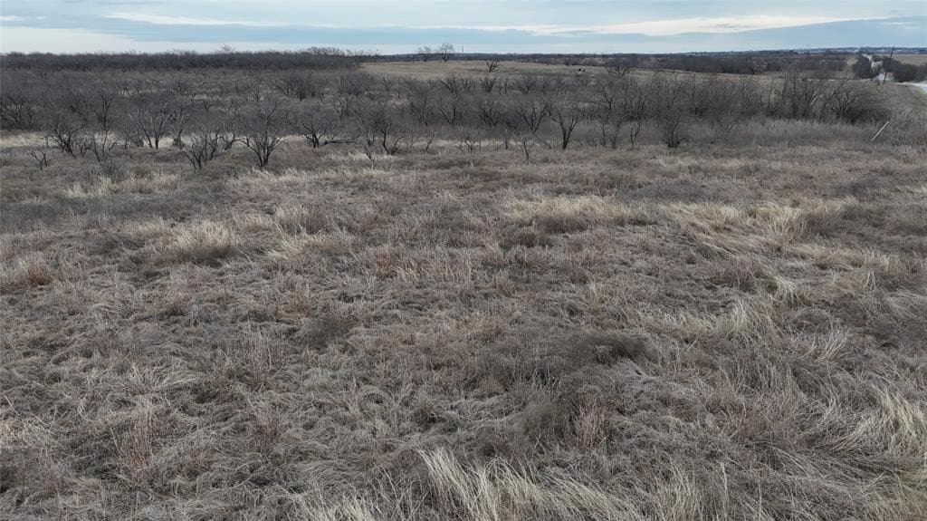10.08 acres in Navarro County - photo 4