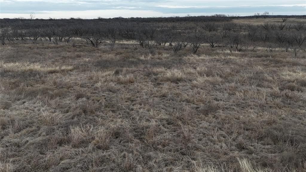 10.08 acres in Navarro County - photo 5
