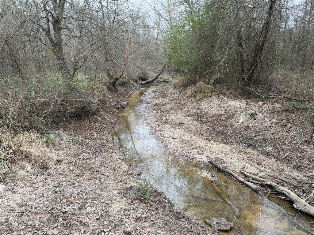 15.41 acres in Upshur County - photo 22