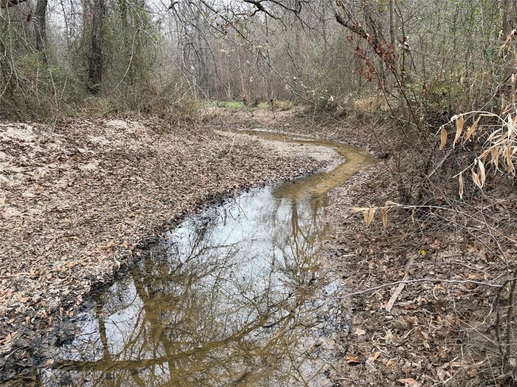 15.41 acres in Upshur County - photo 23