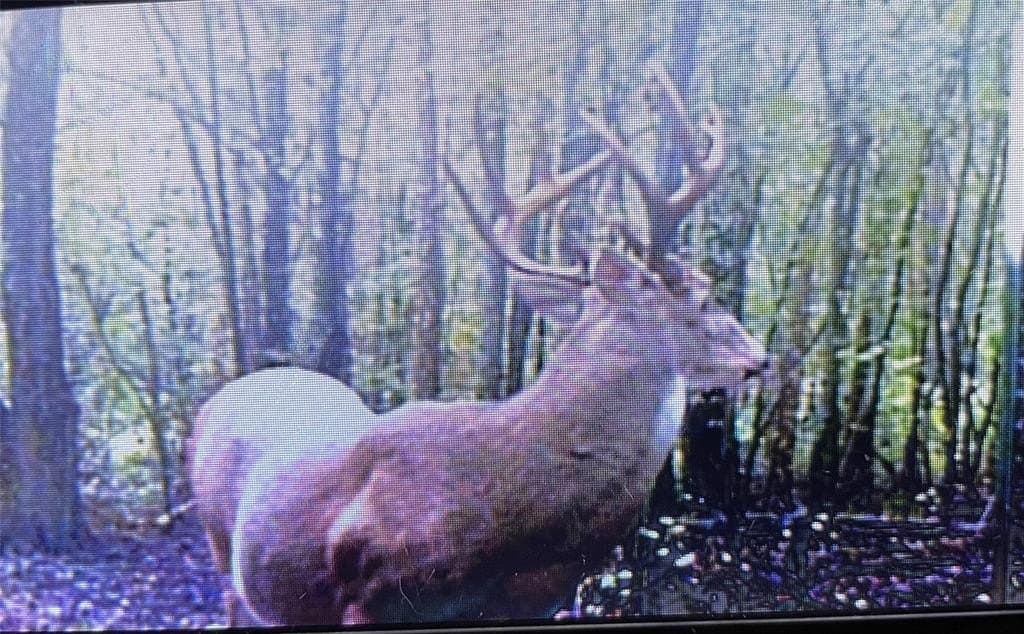 15.41 acres in Upshur County - photo 17