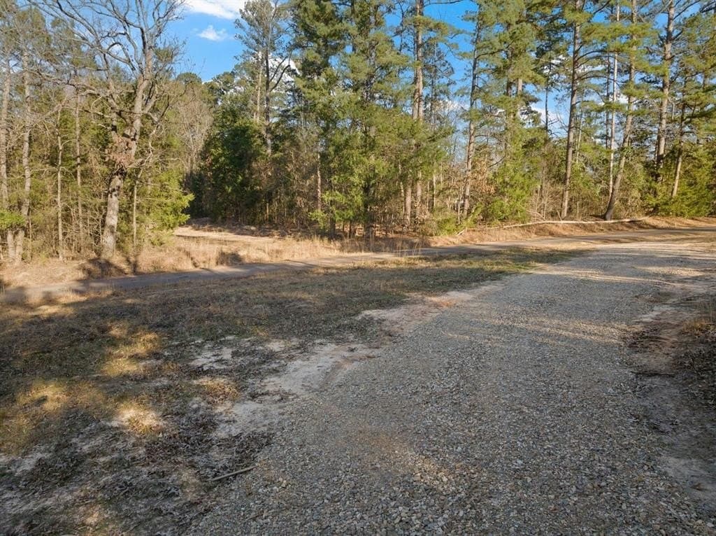 15.41 acres in Upshur County - photo 6
