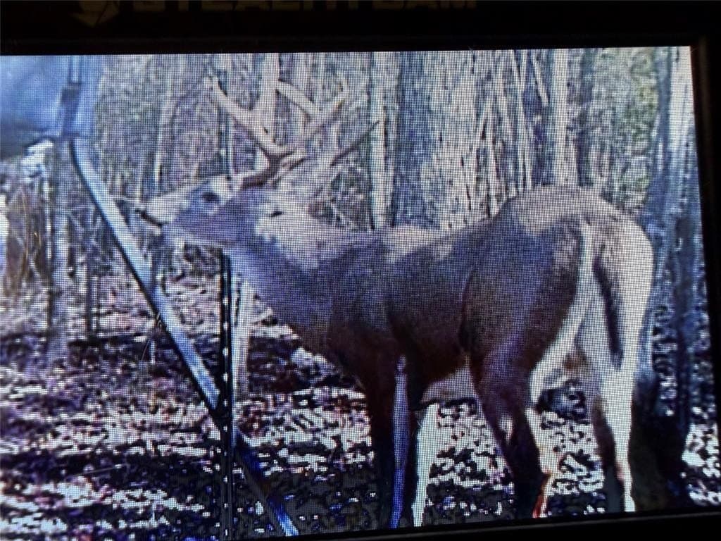 15.41 acres in Upshur County - photo 19