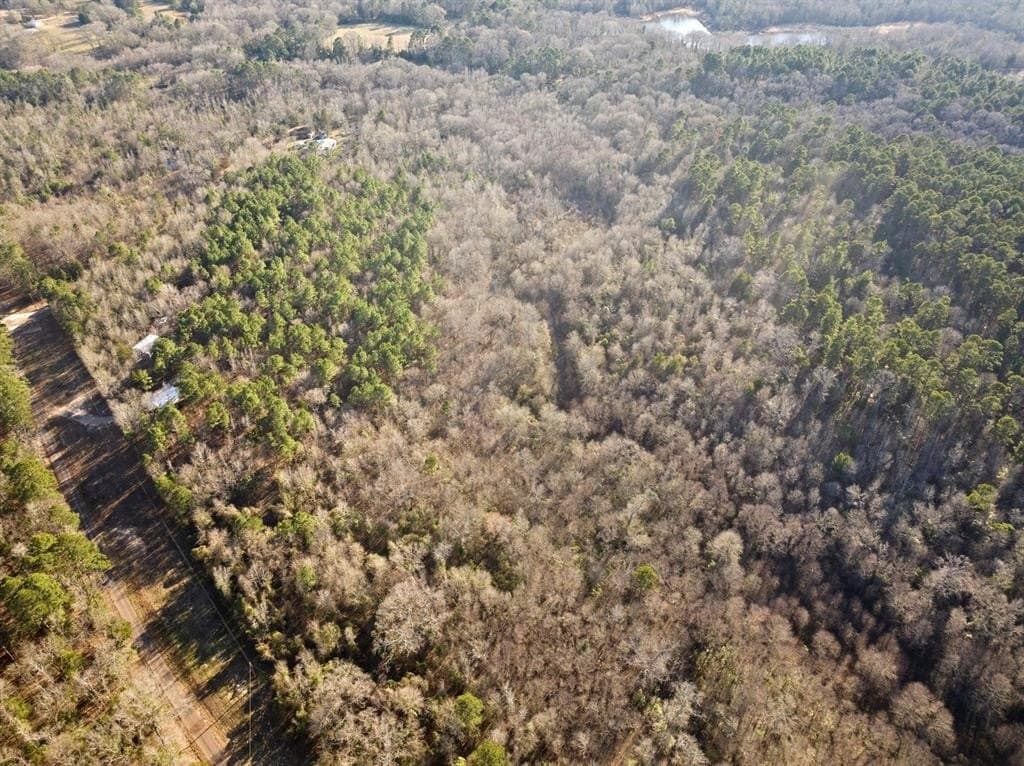 15.41 acres in Upshur County - photo 15