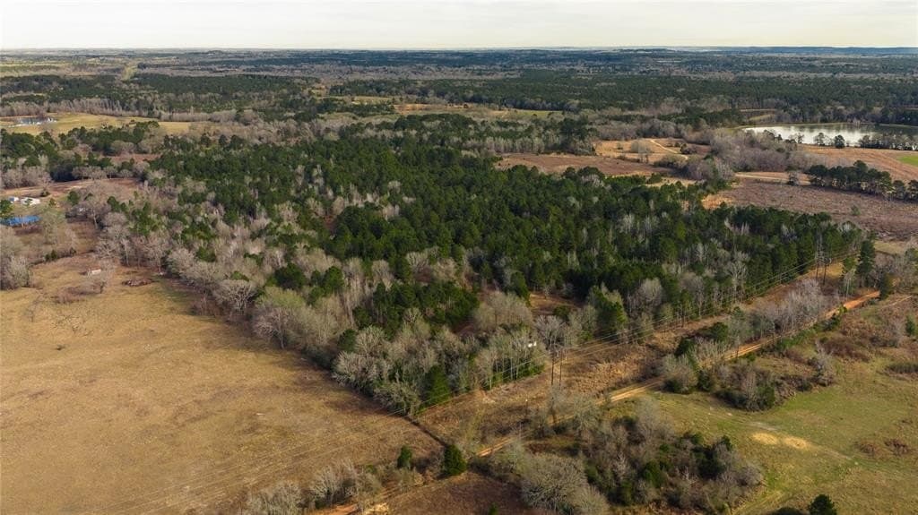 59.05 acres in Anderson County - photo 28