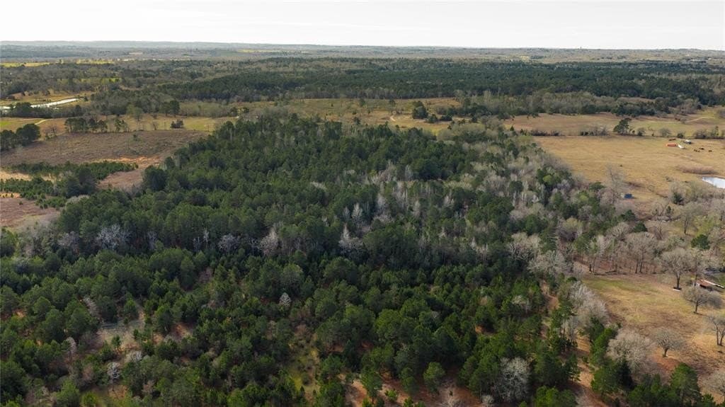 59.05 acres in Anderson County - photo 33