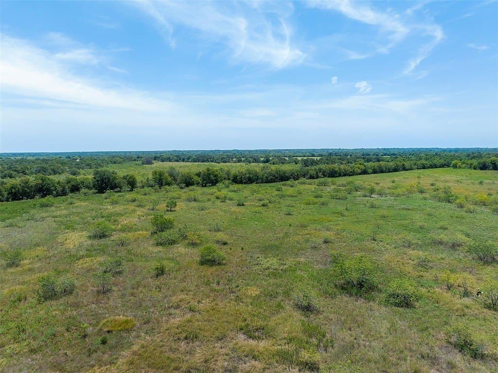 10 acres in Limestone County - photo 5