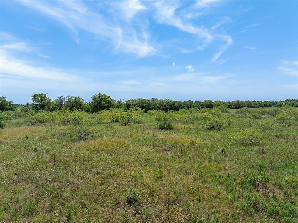 10 acres in Limestone County - photo 6